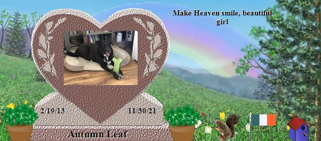 Autumn Leaf's Rainbow Bridge Pet Loss Memorial Residency Image