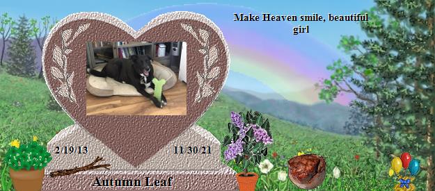 Autumn Leaf's Rainbow Bridge Pet Loss Memorial Residency Image