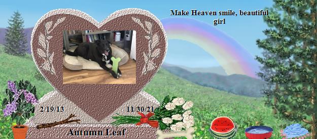 Autumn Leaf's Rainbow Bridge Pet Loss Memorial Residency Image
