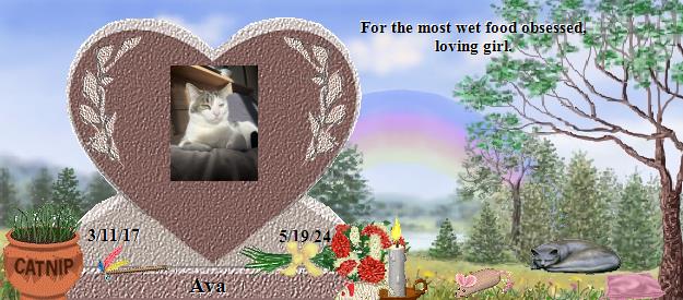 Ava's Rainbow Bridge Pet Loss Memorial Residency Image