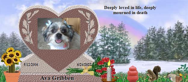 Ava Gribben's Rainbow Bridge Pet Loss Memorial Residency Image