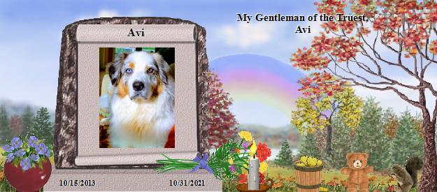 Avi's Rainbow Bridge Pet Loss Memorial Residency Image