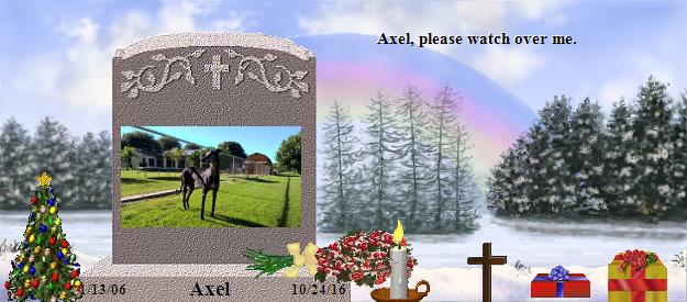 Axel's Rainbow Bridge Pet Loss Memorial Residency Image