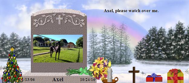 Axel's Rainbow Bridge Pet Loss Memorial Residency Image