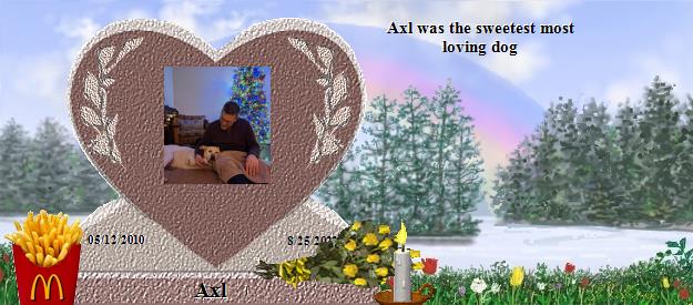 Axl's Rainbow Bridge Pet Loss Memorial Residency Image