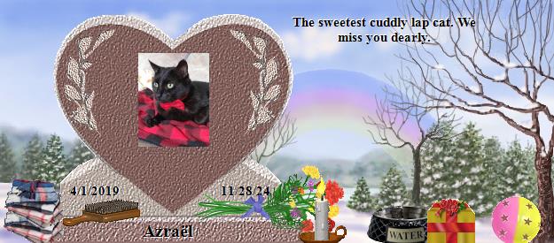 Azraël's Rainbow Bridge Pet Loss Memorial Residency Image