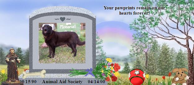 Animal Aid Society's Rainbow Bridge Pet Loss Memorial Residency Image