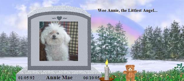 Annie Mae's Rainbow Bridge Pet Loss Memorial Residency Image
