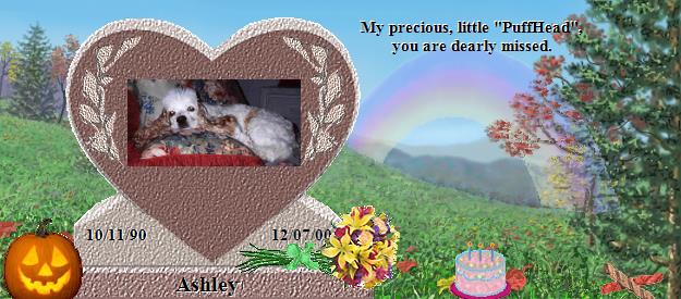 Ashley's Rainbow Bridge Pet Loss Memorial Residency Image