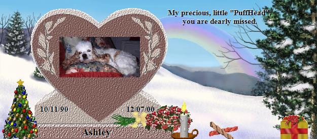 Ashley's Rainbow Bridge Pet Loss Memorial Residency Image