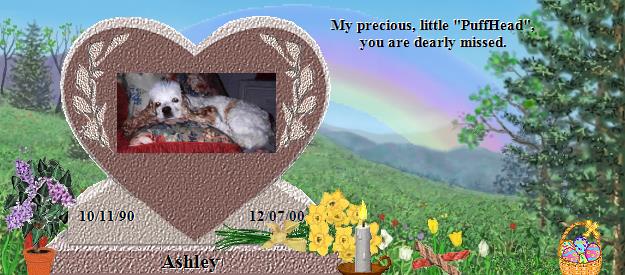 Ashley's Rainbow Bridge Pet Loss Memorial Residency Image