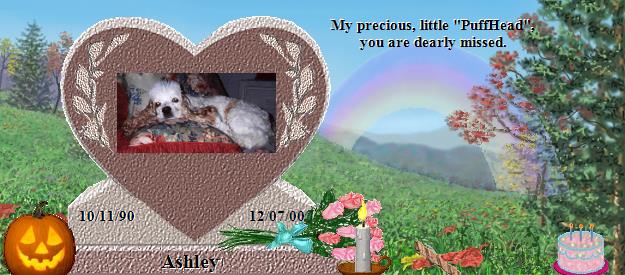Ashley's Rainbow Bridge Pet Loss Memorial Residency Image