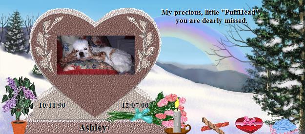 Ashley's Rainbow Bridge Pet Loss Memorial Residency Image