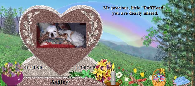 Ashley's Rainbow Bridge Pet Loss Memorial Residency Image