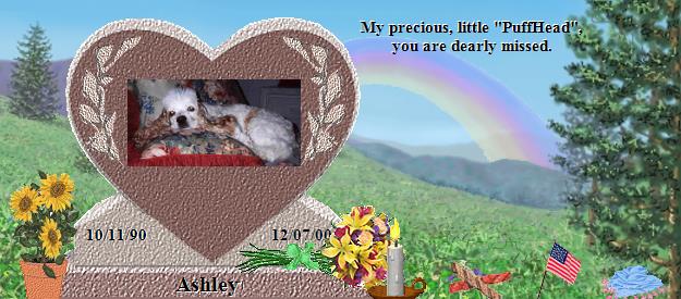 Ashley's Rainbow Bridge Pet Loss Memorial Residency Image