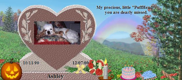 Ashley's Rainbow Bridge Pet Loss Memorial Residency Image