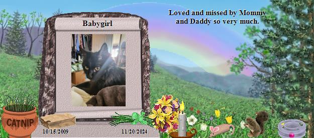 Babygirl's Rainbow Bridge Pet Loss Memorial Residency Image