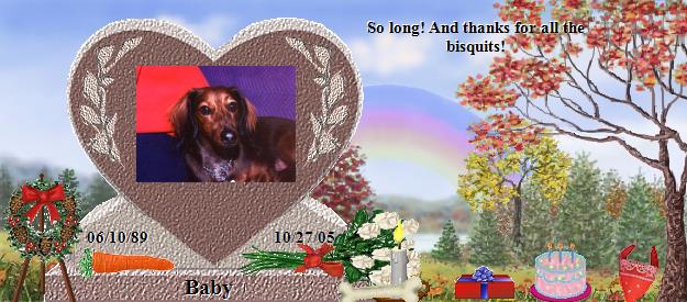 Baby's Rainbow Bridge Pet Loss Memorial Residency Image