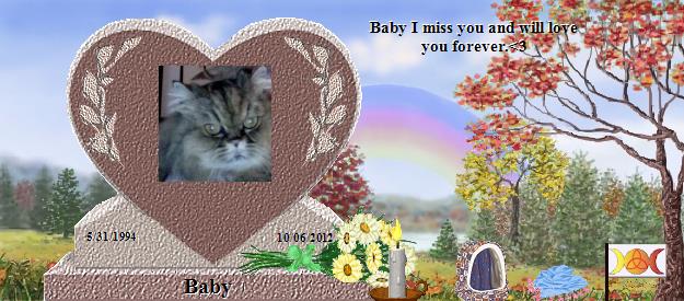 Baby's Rainbow Bridge Pet Loss Memorial Residency Image