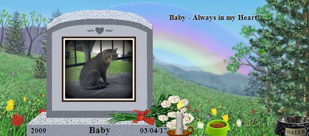 Baby's Rainbow Bridge Pet Loss Memorial Residency Image