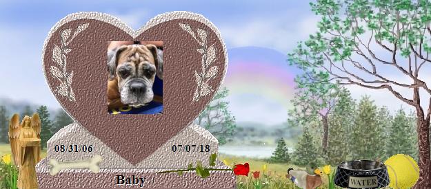 Baby's Rainbow Bridge Pet Loss Memorial Residency Image