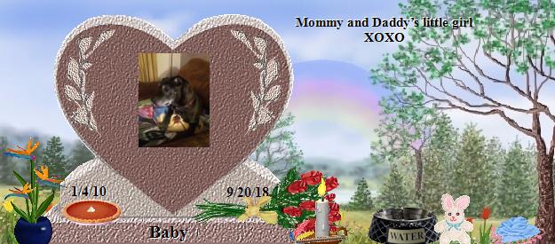 Baby's Rainbow Bridge Pet Loss Memorial Residency Image