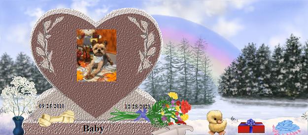 Baby's Rainbow Bridge Pet Loss Memorial Residency Image