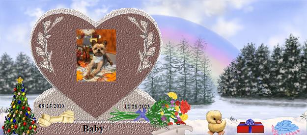 Baby's Rainbow Bridge Pet Loss Memorial Residency Image