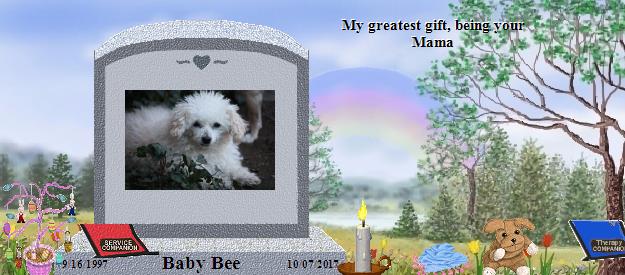 Baby Bee's Rainbow Bridge Pet Loss Memorial Residency Image