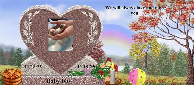 Baby boy's Rainbow Bridge Pet Loss Memorial Residency Image
