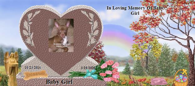 Baby Girl's Rainbow Bridge Pet Loss Memorial Residency Image