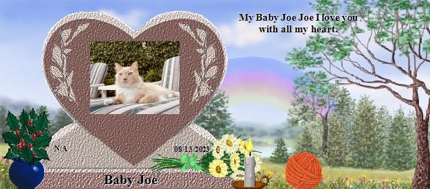 Baby Joe's Rainbow Bridge Pet Loss Memorial Residency Image