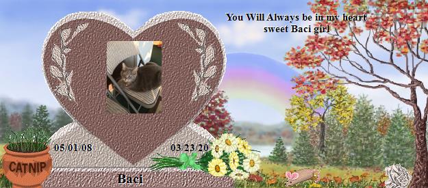 Baci's Rainbow Bridge Pet Loss Memorial Residency Image