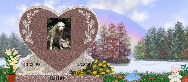 Bailey's Rainbow Bridge Pet Loss Memorial Residency Image