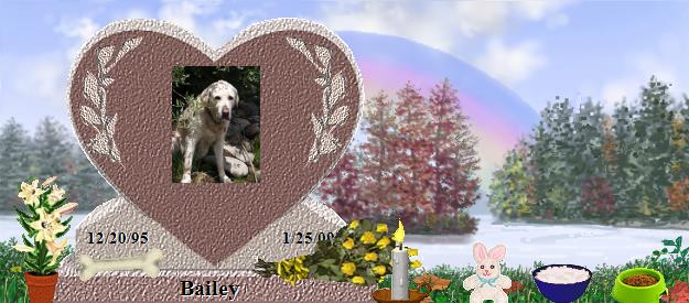 Bailey's Rainbow Bridge Pet Loss Memorial Residency Image