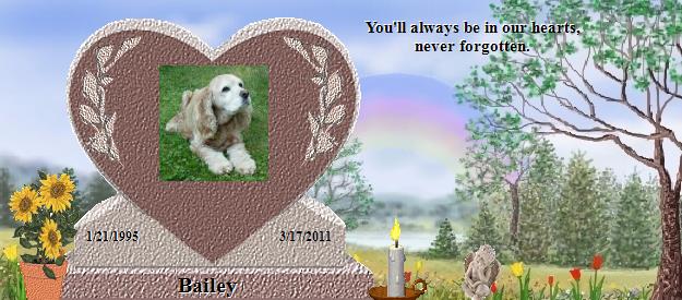 Bailey's Rainbow Bridge Pet Loss Memorial Residency Image