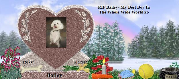 Bailey's Rainbow Bridge Pet Loss Memorial Residency Image