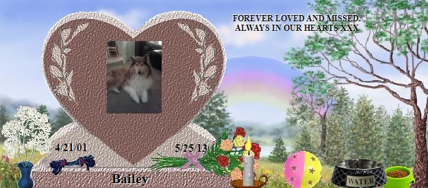Bailey's Rainbow Bridge Pet Loss Memorial Residency Image