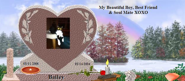 Bailey's Rainbow Bridge Pet Loss Memorial Residency Image