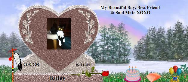 Bailey's Rainbow Bridge Pet Loss Memorial Residency Image