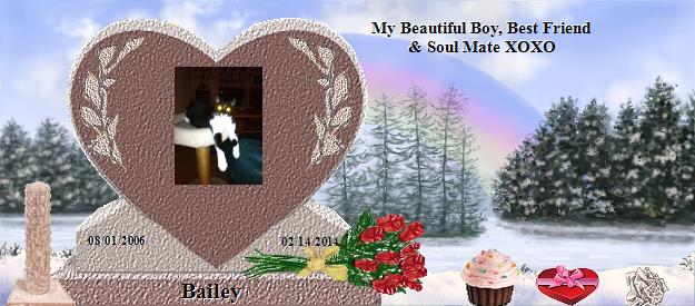 Bailey's Rainbow Bridge Pet Loss Memorial Residency Image