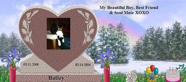 Bailey's Rainbow Bridge Pet Loss Memorial Residency Image