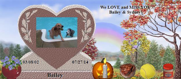 Bailey's Rainbow Bridge Pet Loss Memorial Residency Image