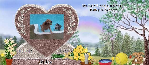 Bailey's Rainbow Bridge Pet Loss Memorial Residency Image