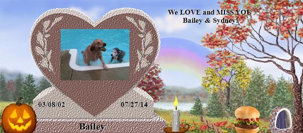 Bailey's Rainbow Bridge Pet Loss Memorial Residency Image