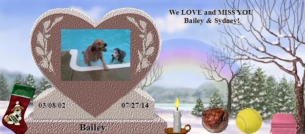 Bailey's Rainbow Bridge Pet Loss Memorial Residency Image