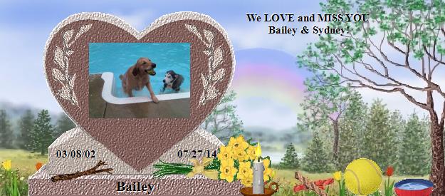 Bailey's Rainbow Bridge Pet Loss Memorial Residency Image