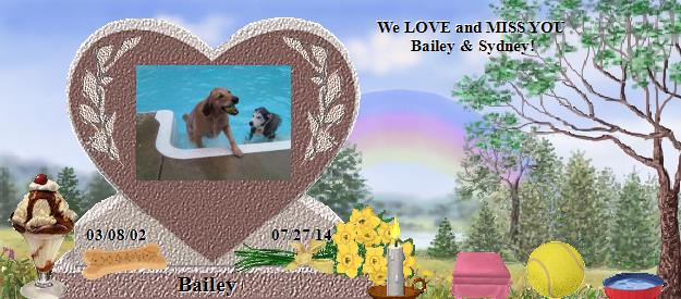 Bailey's Rainbow Bridge Pet Loss Memorial Residency Image