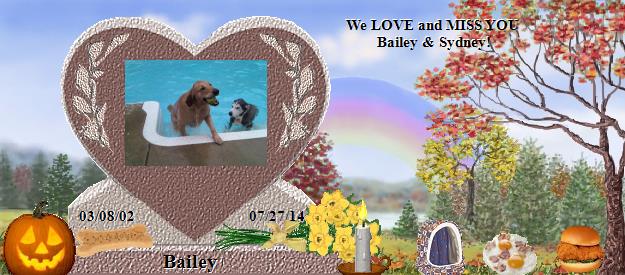 Bailey's Rainbow Bridge Pet Loss Memorial Residency Image