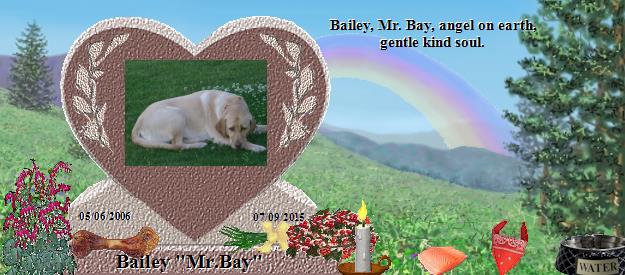 Bailey "Mr.Bay"'s Rainbow Bridge Pet Loss Memorial Residency Image